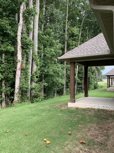 103 Andrews Dr, Loretto, TN 38469 photo 5
