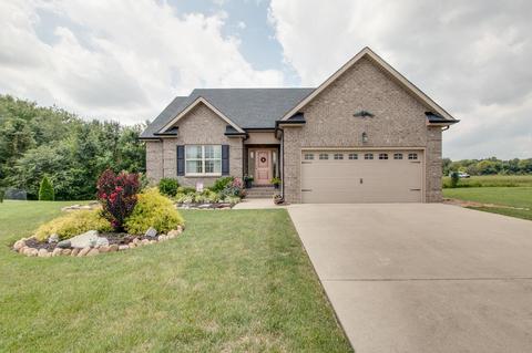 2418 Turtle Trce, Murfreesboro, TN 37127 photo 3