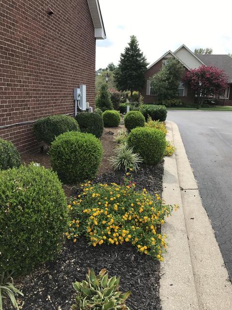 1428 Mohawk Trl, Murfreesboro, TN 37129 photo 3