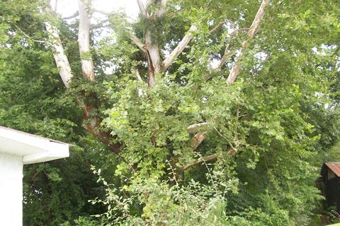 141 Bright Rd, Walling, TN 38587 photo 6