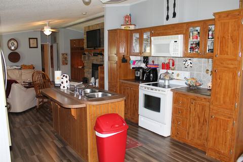 650 Chipman, Bethpage, TN 37022 photo 9