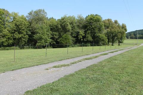 650 Chipman, Bethpage, TN 37022 photo 2