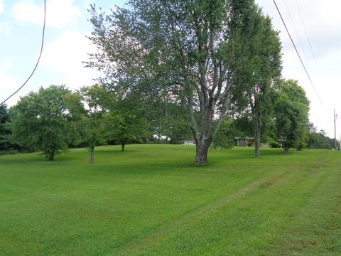 411 Eells, Loretto, TN 38469 photo 25