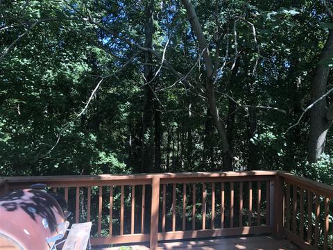 141 Brookside Pt, Springfield, TN 37172 photo 11