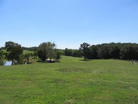6504 Highway 161, Springfield, TN 37172 photo 27
