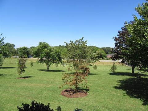 6504 Highway 161, Springfield, TN 37172 photo 7