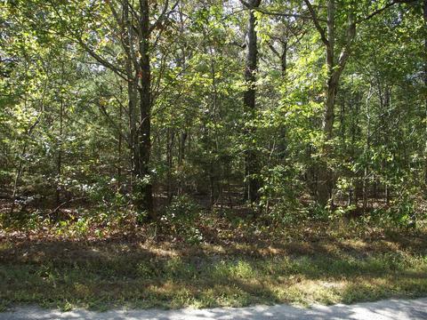 109 Pepper Rd, Taft, TN 38488 photo 1