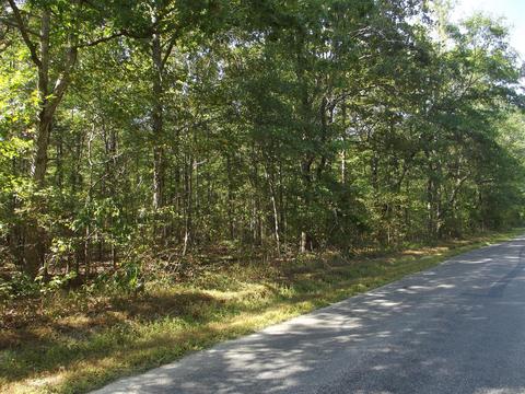 109 Pepper Rd, Taft, TN 38488 photo 2