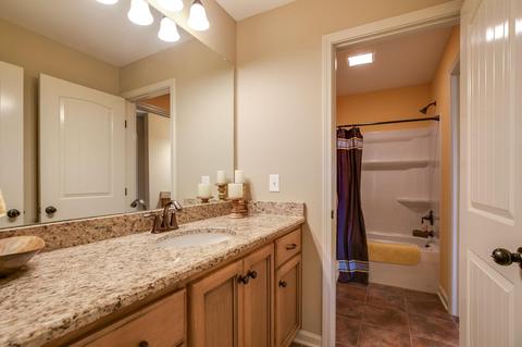 226 Fox Den Way, Murfreesboro, TN 37130 photo 21