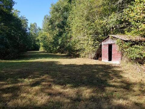 242 Brushy Rd, Centerville, TN 37033 photo 4