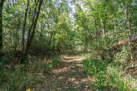 300 Circle Dr, Prospect, TN 38477 photo 23