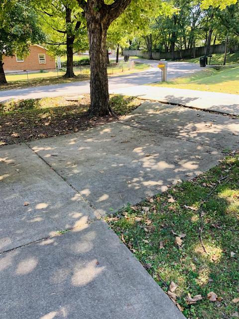 417 Grace St, Springfield, TN 37172 photo 3