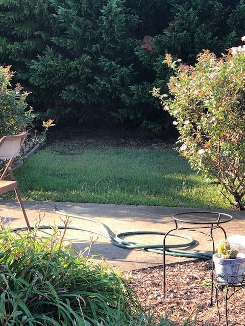 2524 Pleasant Ridge Rd, Goodspring, TN 38460 photo 9