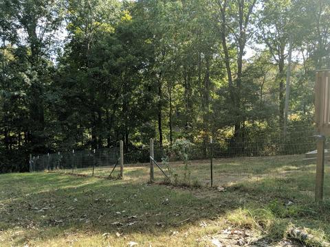 920 Pack Rd, White Bluff, TN 37187 photo 6