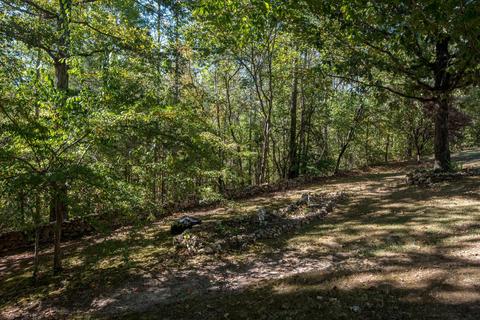 1160 Pack Rd, White Bluff, TN 37187 photo 30