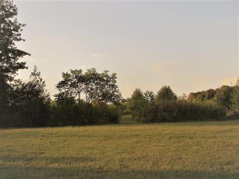 2073 Pocahontas Rd, Morrison, TN 37357 photo 45