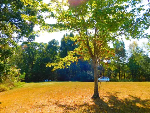219 Casteel Rd, Ethridge, TN 38456 photo 6