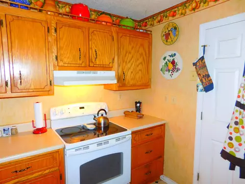 219 Casteel Rd, Ethridge, TN 38456 photo 14