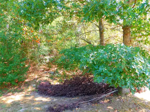 219 Casteel Rd, Ethridge, TN 38456 photo 7