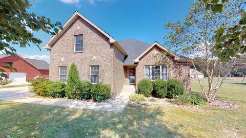 216 Deerfield Dr, Springfield, TN 37172 photo 1