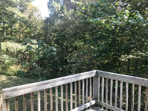 3015 Patsy Ln, Palmyra, TN 37142 photo 14