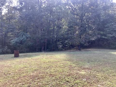 3015 Patsy Ln, Palmyra, TN 37142 photo 22