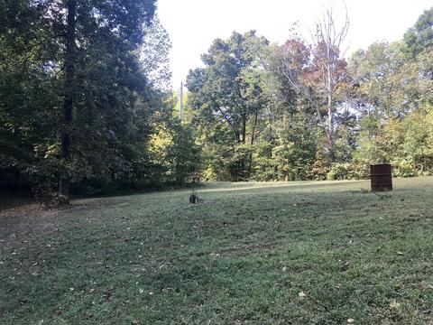 3015 Patsy Ln, Palmyra, TN 37142 photo 19