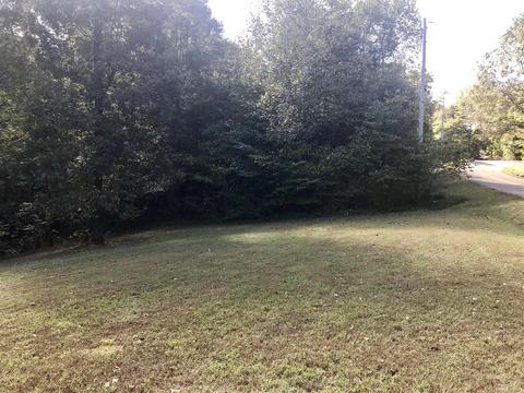 3015 Patsy Ln, Palmyra, TN 37142 photo 23