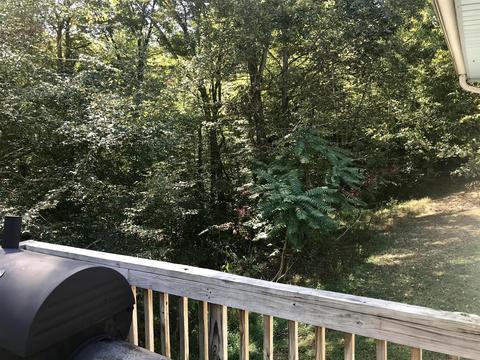 3015 Patsy Ln, Palmyra, TN 37142 photo 13