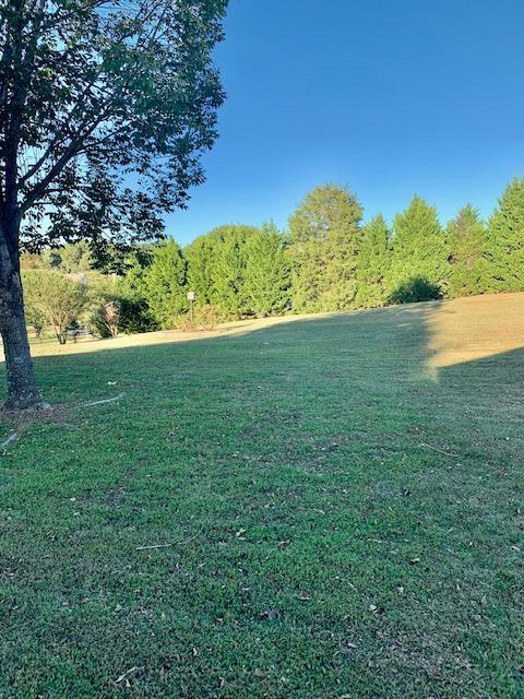 1109 Myatt Loop Rd, Burns, TN 37029 photo 20