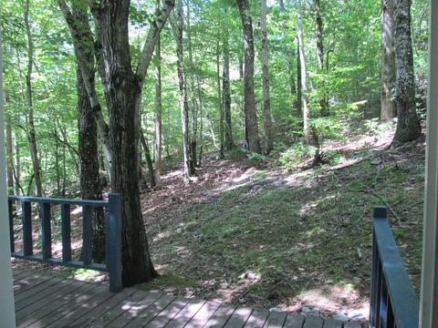 8970 Fox Hill Rd, Baxter, TN 38544 photo 21