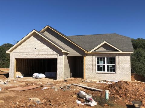 1032 Berra Dr, Springfield, TN 37172 photo 1