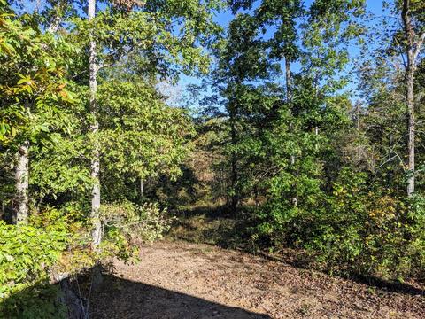 709 Ruby Way, White Bluff, TN 37187 photo 11