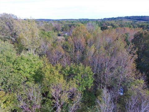 657 Earl Warren Rd, Beechgrove, TN 37018 photo 26