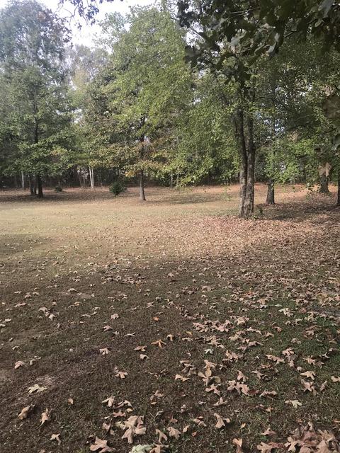 210 Spencer Dr, Beechgrove, TN 37018 photo 20