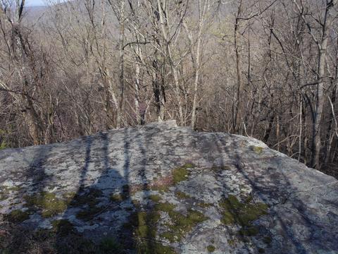 101 Carruthers Rd, Sewanee, TN 37375 photo 26