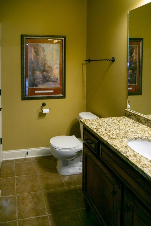 336 Rowlette Cir, Murfreesboro, TN 37127 photo 16