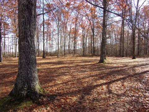150 Deerfield Rd, Normandy, TN 37360 photo 5