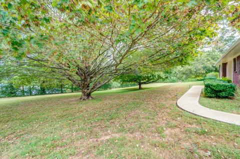 104 E Over Dr, Centerville, TN 37033 photo 3