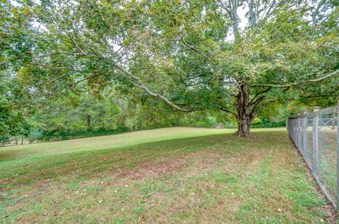 104 E Over Dr, Centerville, TN 37033 photo 5