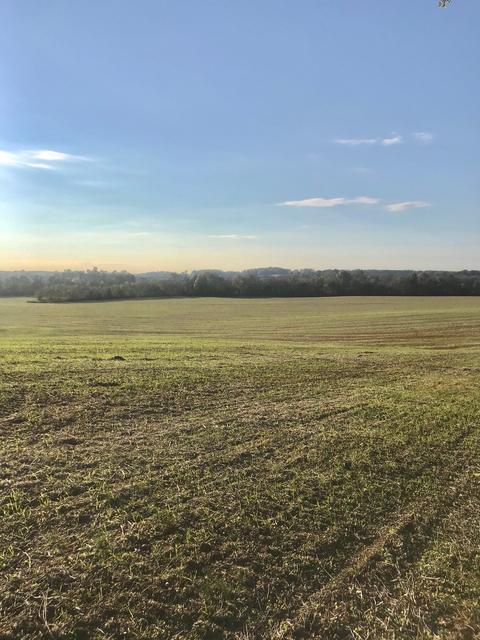 1071 Hills Trace Rd, Morrison, TN 37357 photo 3