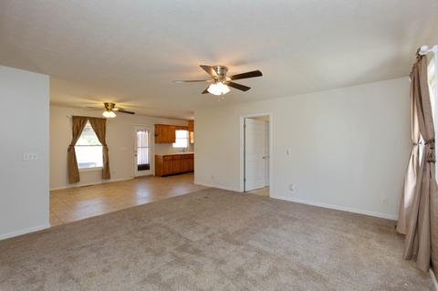 4064 Flewellyn Rd, Springfield, TN 37172 photo 9