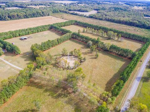 40 Pepper Rd, Taft, TN 38488 photo 28