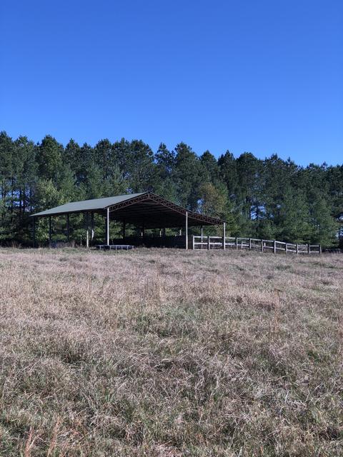 40 Pepper Rd, Taft, TN 38488 photo 22