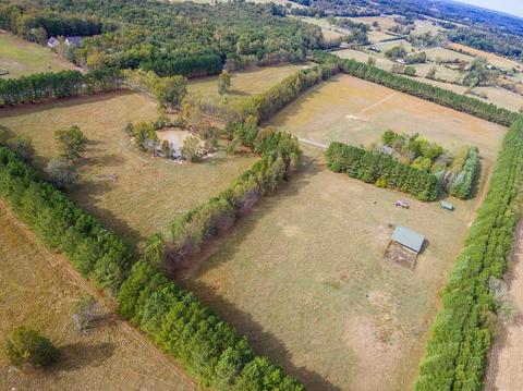 40 Pepper Rd, Taft, TN 38488 photo 30