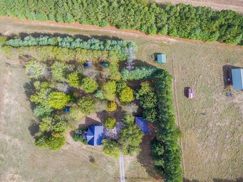 40 Pepper Rd, Taft, TN 38488 photo 25