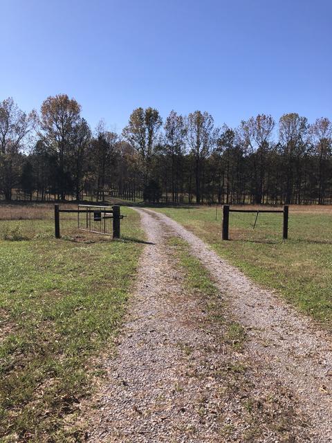 40 Pepper Rd, Taft, TN 38488 photo 15