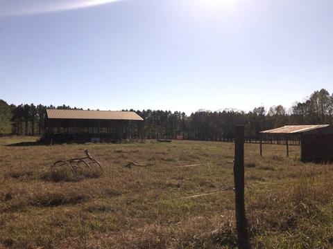 40 Pepper Rd, Taft, TN 38488 photo 24