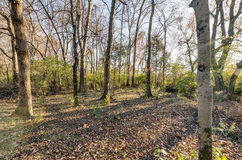 1447 Bern Dr, Spring Hill, TN 37174 photo 29