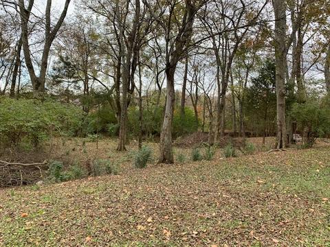 1447 Bern Dr, Spring Hill, TN 37174 photo 30